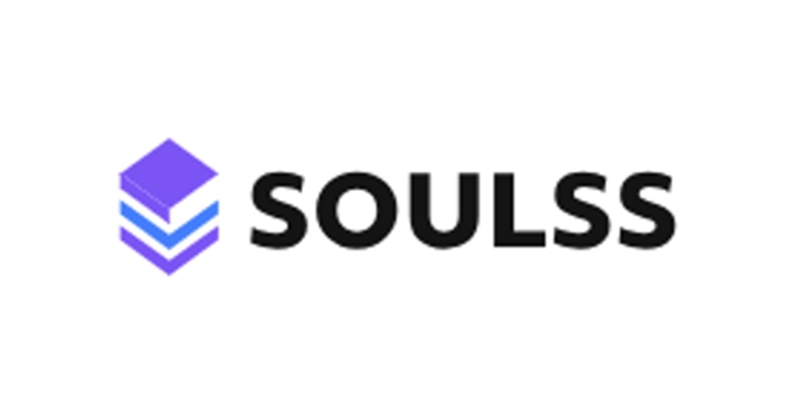 Soulss Project