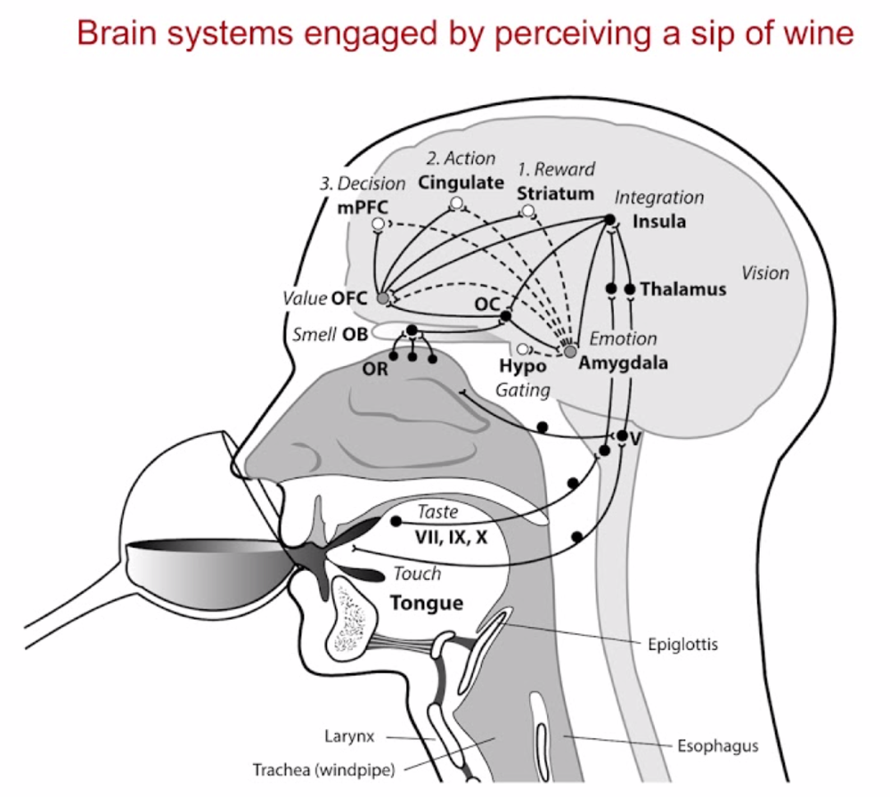 neurotest